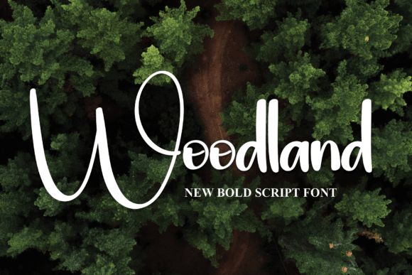 Woodland: A Bold Typeface for High-Impact Visuals